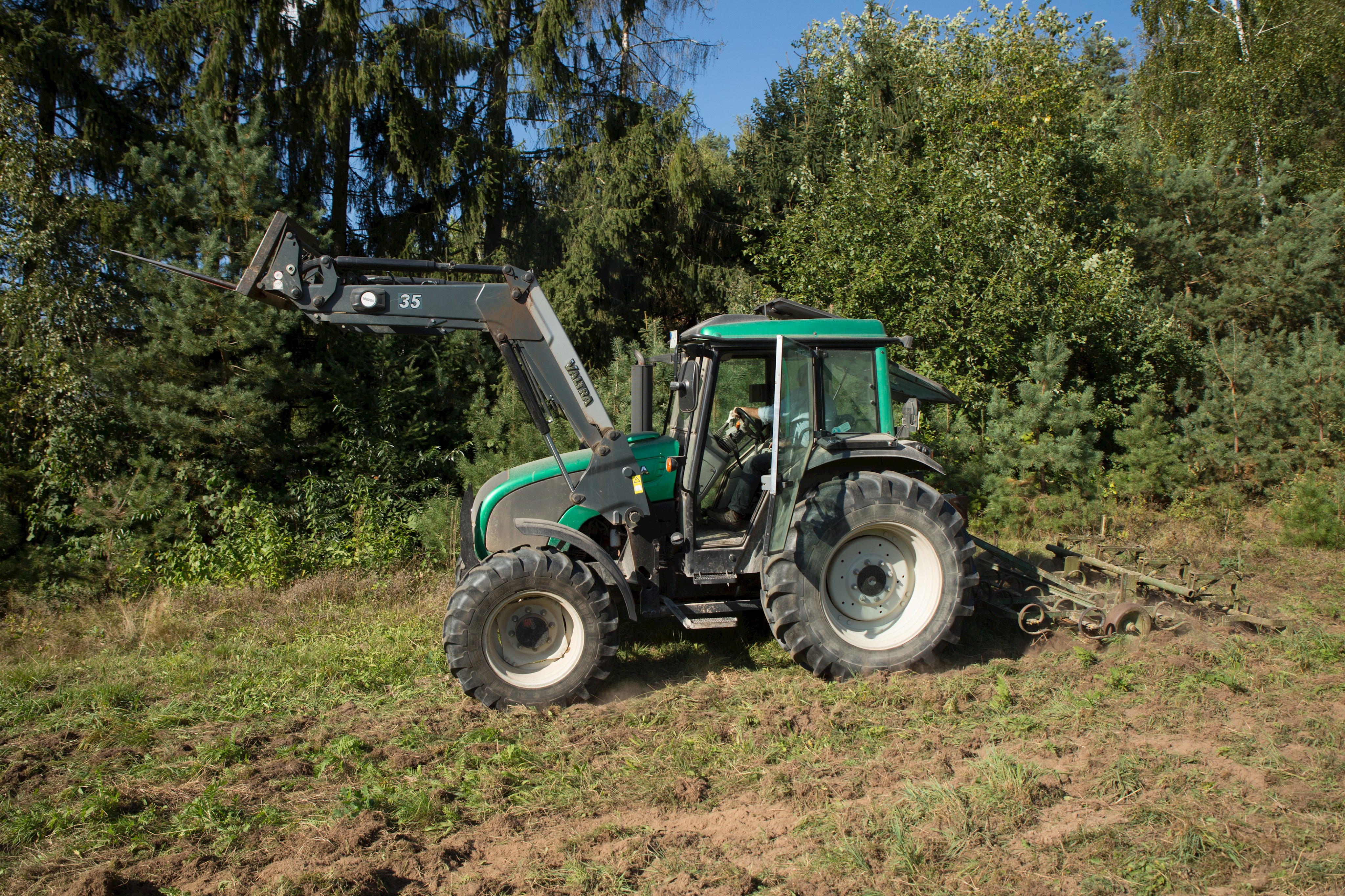 Pflegemaßnahmen zur Schaffung offener sandiger Bereiche