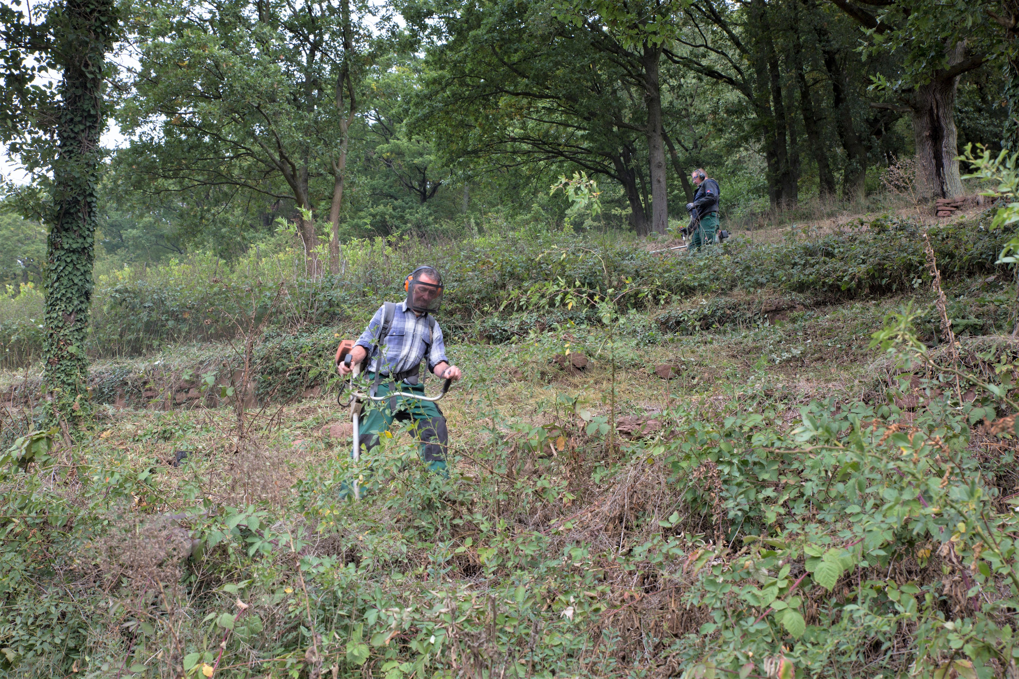 Landschaftspflege in Handarbeit