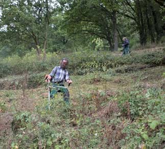 Landschaftspflege in Handarbeit