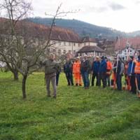 Intensivkurs Obstbaumschnitt 2018