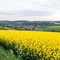 Naturschutzprojekt: Artenreiche Kulturlandschaft um Mömlingen