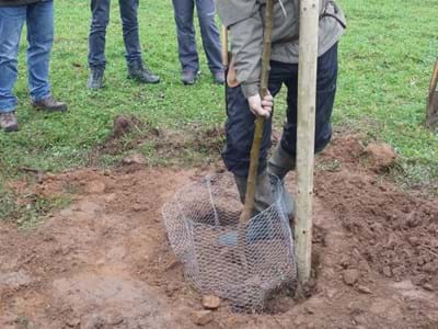 Obstbaumpflanzaktion 2018
