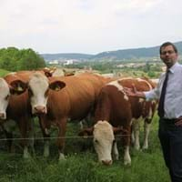 Landrat überzeugt sich von Leistung der vierbeinigen Landschaftspfleger in Breitendiel