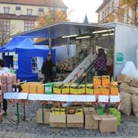 Apfelsammelaktion mit Saft pressen in Breitendiel