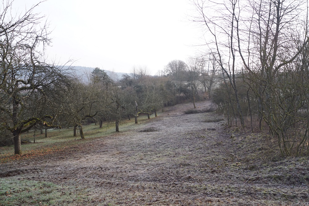 Schaffung einer Beweidungs-durchgängigkeit