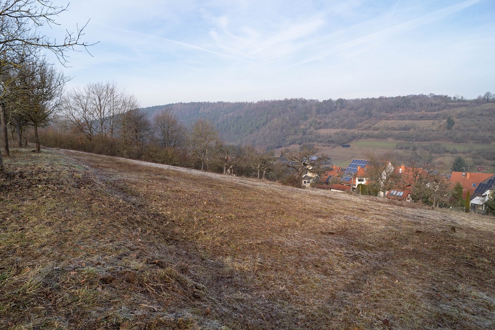 Freistellung verbuschter Magerwiesen