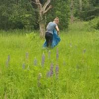 2024_Lupine_01.jpg