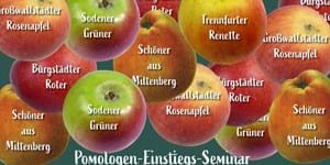 Pomologenseminar2026.jpg