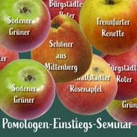 Pomologenseminar2026.jpg